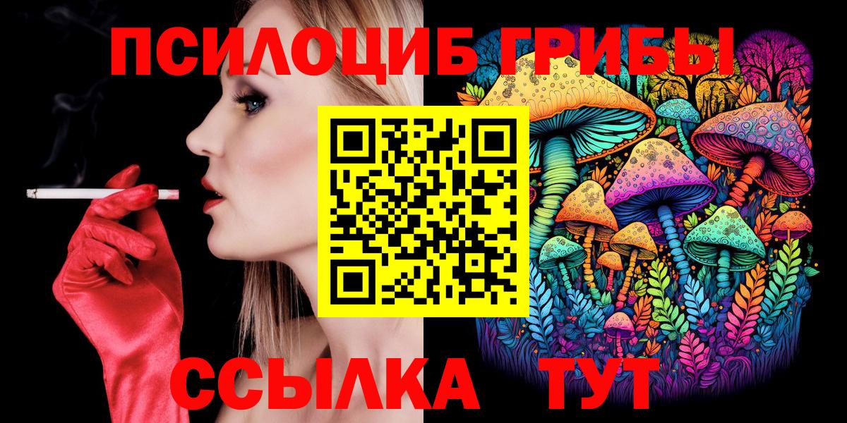 как найти закладки  Псилоцибиновые грибы Psilocybine cubensis  Вход с VPN  Россошь  Галлюциногенные грибы Psilocybine cubensis 