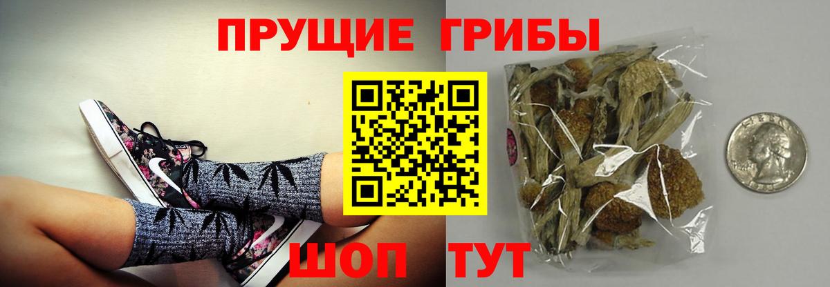 Галлюциногенные грибы ЛСД Россошь